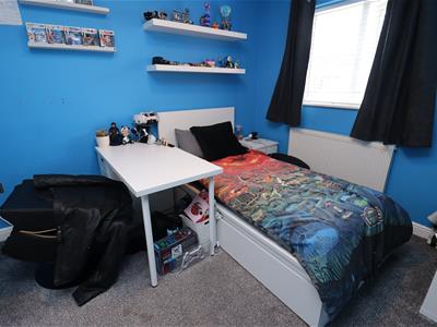 Picture 11